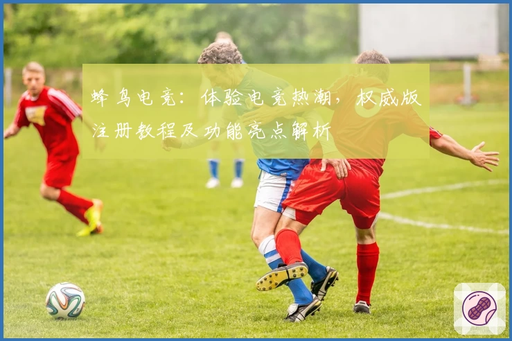 蜂鸟电竞：体验电竞热潮，权威版注册教程及功能亮点解析