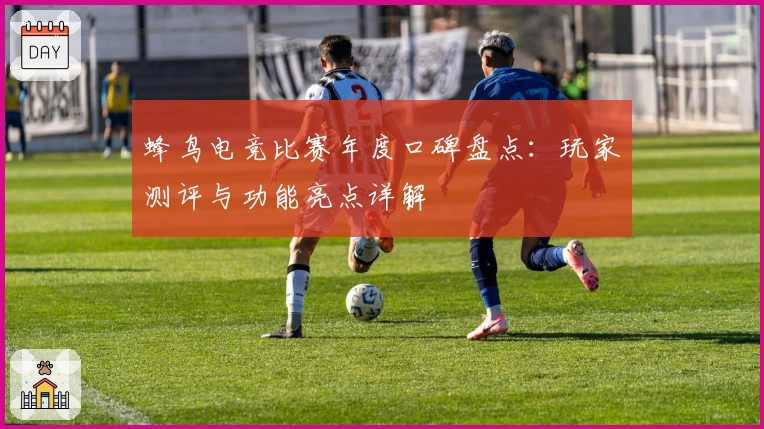 蜂鸟电竞比赛年度口碑盘点：玩家测评与功能亮点详解