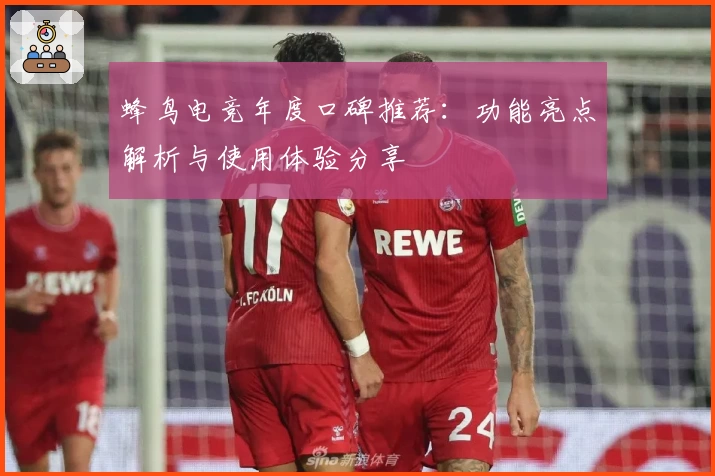 蜂鸟电竞年度口碑推荐：功能亮点解析与使用体验分享