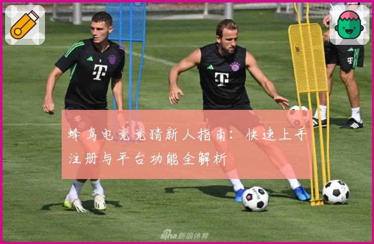 蜂鸟电竞竞猜新人指南：快速上手注册与平台功能全解析