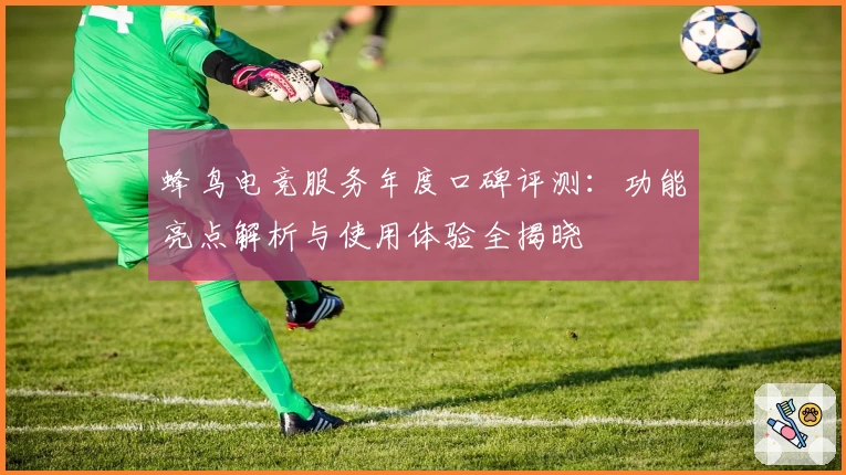 蜂鸟电竞服务年度口碑评测：功能亮点解析与使用体验全揭晓