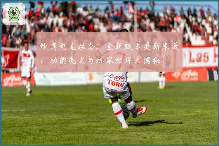 蜂鸟电竞动态：全新版本更新来袭，功能亮点与玩家测评大揭秘！