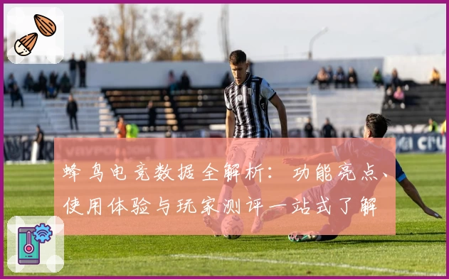 蜂鸟电竞数据全解析：功能亮点、使用体验与玩家测评一站式了解