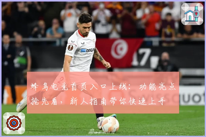 蜂鸟电竞首页入口上线:功能亮点抢先看,新人指南带你快速上手