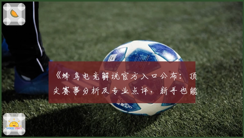 《蜂鸟电竞解说官方入口公布：顶尖赛事分析及专业点评，新手也能轻松玩转》