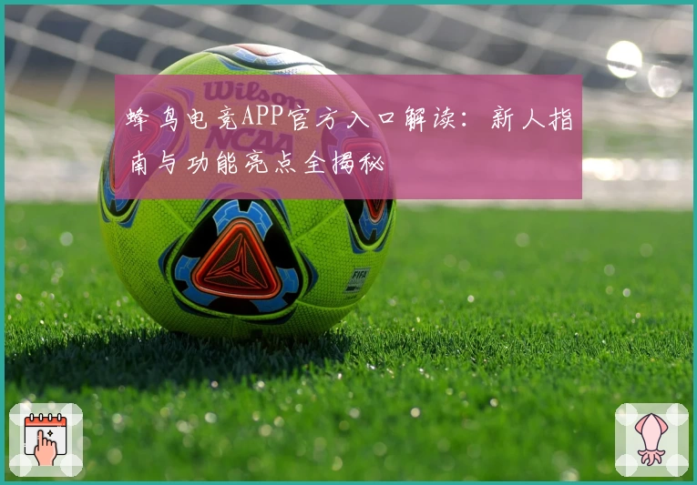 蜂鸟电竞APP官方入口解读：新人指南与功能亮点全揭秘