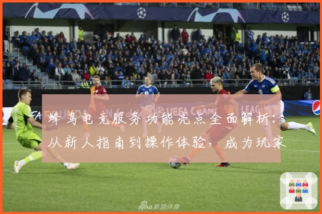 蜂鸟电竞服务功能亮点全面解析：从新人指南到操作体验，成为玩家首选助手