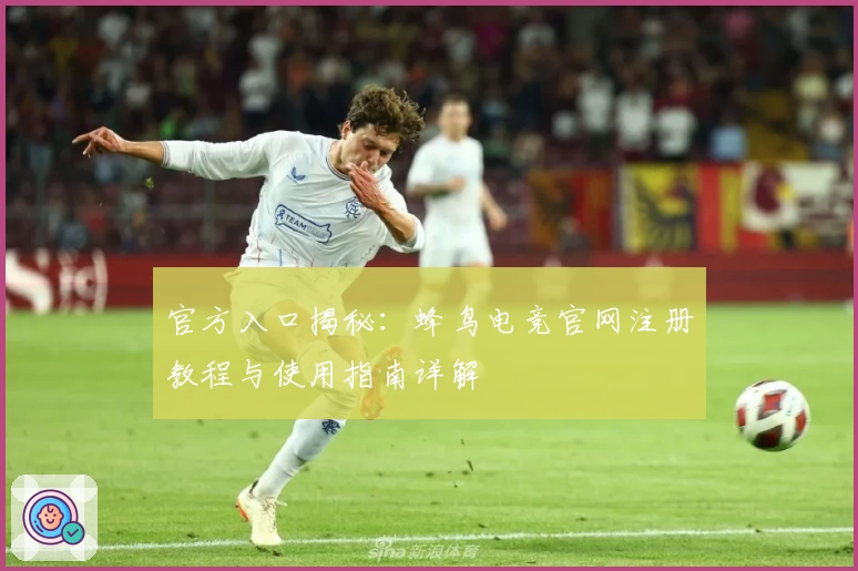 官方入口揭秘：蜂鸟电竞官网注册教程与使用指南详解