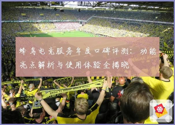 蜂鸟电竞服务年度口碑评测：功能亮点解析与使用体验全揭晓