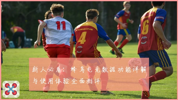 新人必看：蜂鸟电竞数据功能详解与使用体验全面测评