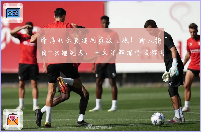 蜂鸟电竞直播网页版上线！新人指南+功能亮点，一文了解操作流程与精彩看点