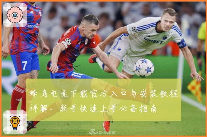 蜂鸟电竞下载官方入口与安装教程详解,新手快速上手必备指南