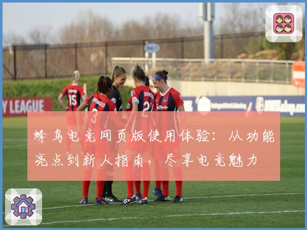 蜂鸟电竞网页版使用体验：从功能亮点到新人指南，尽享电竞魅力