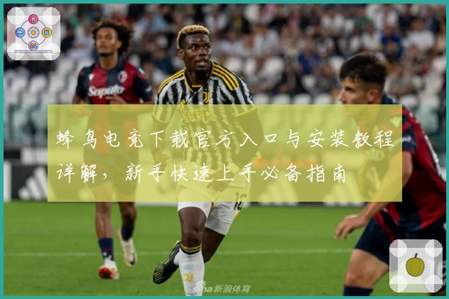 蜂鸟电竞下载官方入口与安装教程详解，新手快速上手必备指南