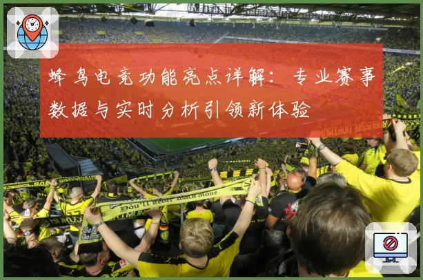 蜂鸟电竞功能亮点详解:专业赛事数据与实时分析引领新体验