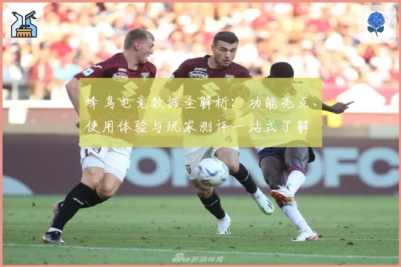 蜂鸟电竞数据全解析：功能亮点、使用体验与玩家测评一站式了解