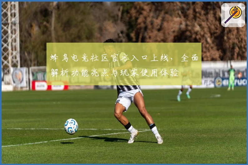 蜂鸟电竞社区官方入口上线，全面解析功能亮点与玩家使用体验