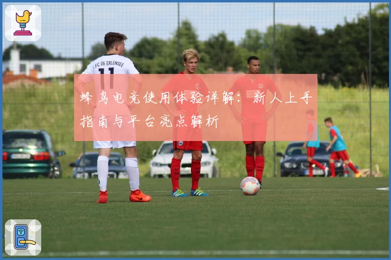 蜂鸟电竞使用体验详解:新人上手指南与平台亮点解析