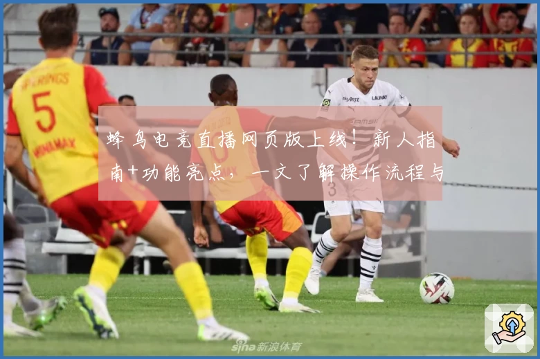 蜂鸟电竞直播网页版上线！新人指南+功能亮点，一文了解操作流程与精彩看点