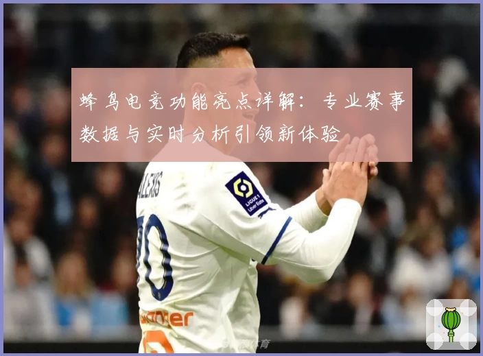 蜂鸟电竞功能亮点详解：专业赛事数据与实时分析引领新体验