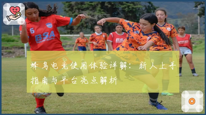 蜂鸟电竞使用体验详解:新人上手指南与平台亮点解析