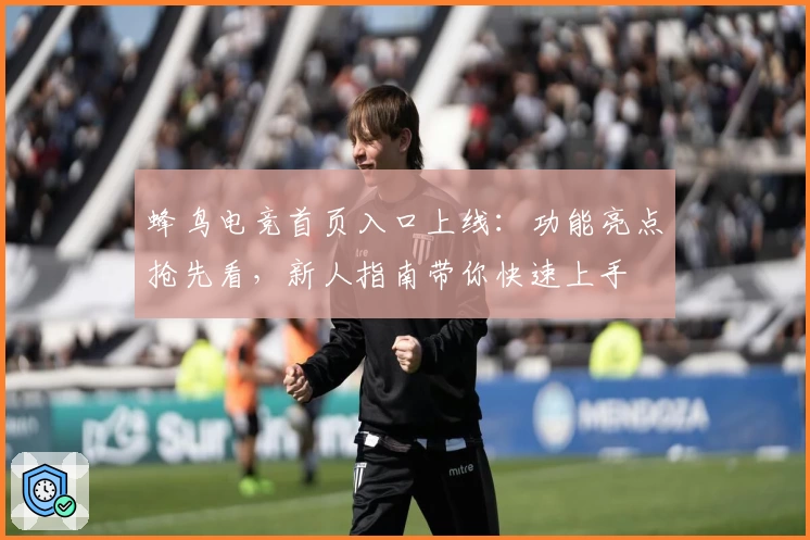 蜂鸟电竞首页入口上线：功能亮点抢先看，新人指南带你快速上手