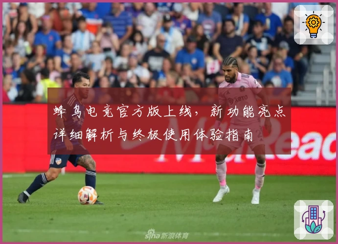 蜂鸟电竞官方版上线，新功能亮点详细解析与终极使用体验指南