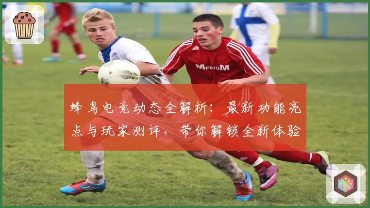 蜂鸟电竞动态全解析：最新功能亮点与玩家测评，带你解锁全新体验