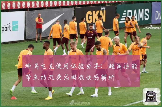 蜂鸟电竞使用体验分享：超高性能带来的沉浸式游戏快感解析