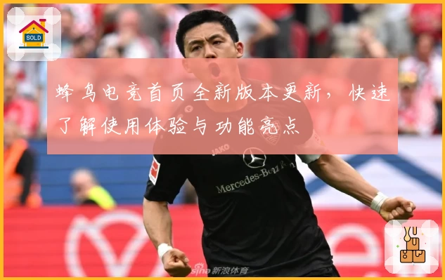 蜂鸟电竞首页全新版本更新，快速了解使用体验与功能亮点