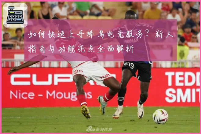 如何快速上手蜂鸟电竞服务？新人指南与功能亮点全面解析