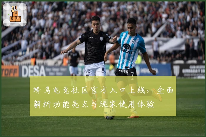 蜂鸟电竞社区官方入口上线,全面解析功能亮点与玩家使用体验