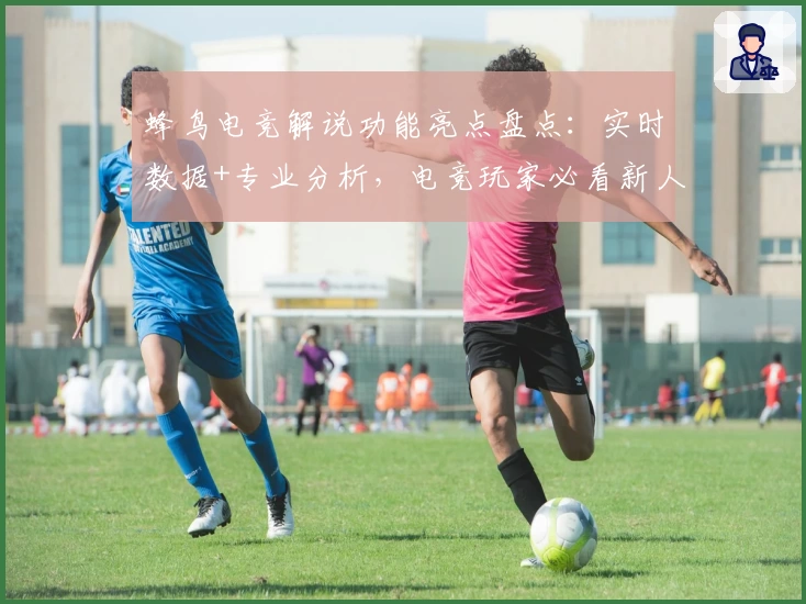 蜂鸟电竞解说功能亮点盘点:实时数据+专业分析,电竞玩家必看新人指南