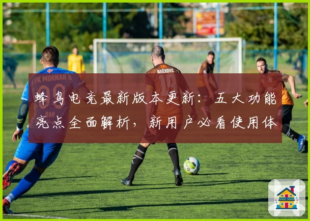 蜂鸟电竞最新版本更新：五大功能亮点全面解析，新用户必看使用体验与指南