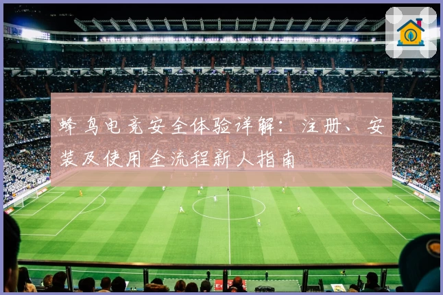 蜂鸟电竞安全体验详解：注册、安装及使用全流程新人指南