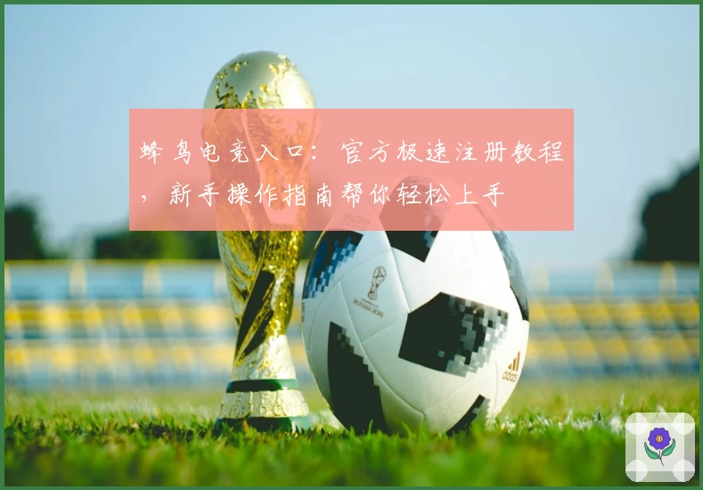 蜂鸟电竞入口：官方极速注册教程，新手操作指南帮你轻松上手