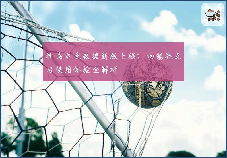 蜂鸟电竞数据新版上线：功能亮点与使用体验全解析