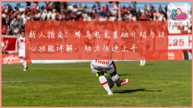 新人指南:蜂鸟电竞基础介绍与核心功能详解,助力快速上手