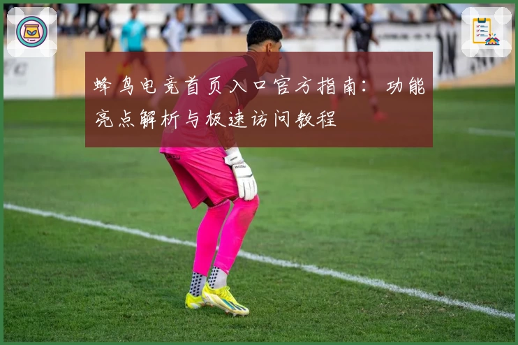 蜂鸟电竞首页入口官方指南：功能亮点解析与极速访问教程