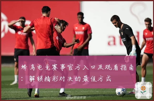 蜂鸟电竞赛事官方入口及观看指南：解锁精彩对决的最佳方式