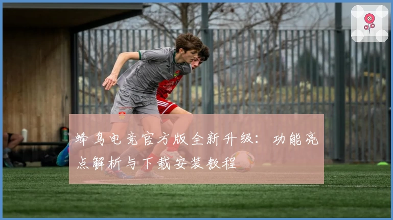 蜂鸟电竞官方版全新升级：功能亮点解析与下载安装教程
