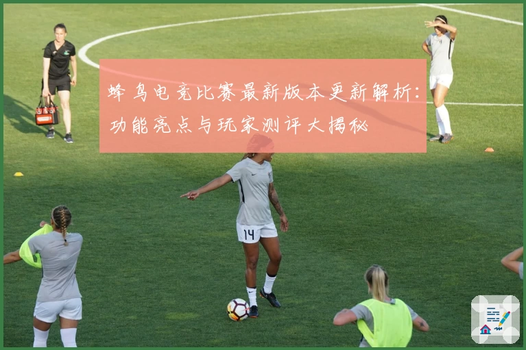 蜂鸟电竞比赛最新版本更新解析：功能亮点与玩家测评大揭秘