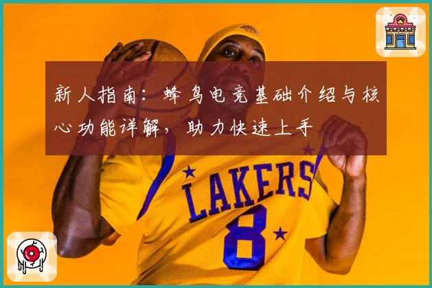 新人指南：蜂鸟电竞基础介绍与核心功能详解，助力快速上手