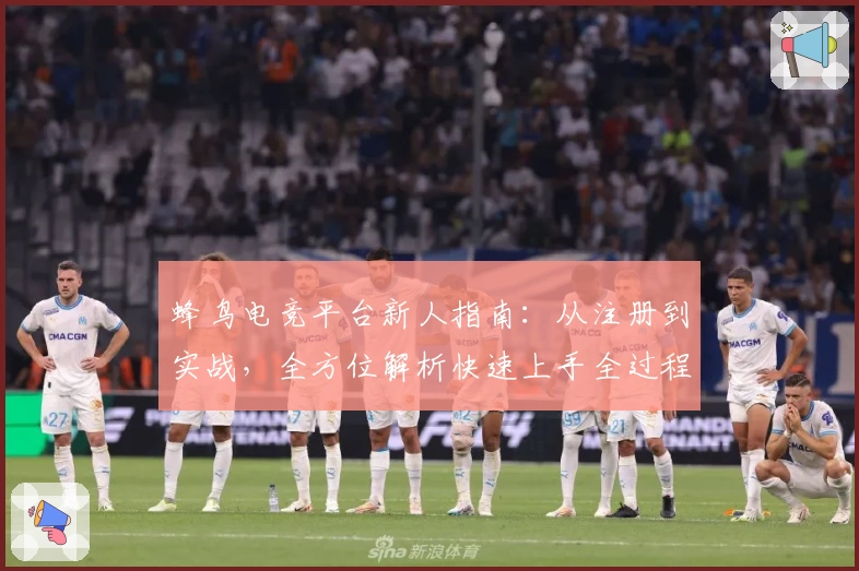 蜂鸟电竞平台新人指南：从注册到实战，全方位解析快速上手全过程